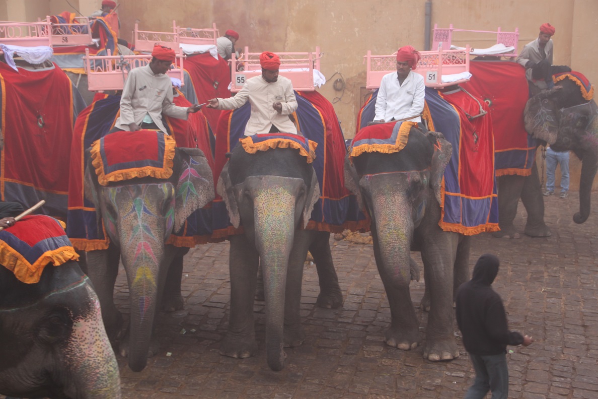 Слоны (и их погонщики) в ожидании туристов. Крепость Амбер, Раджастхан